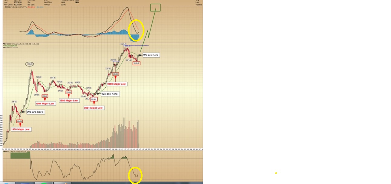 ZB-bottom.jpg
